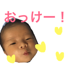 [LINEスタンプ] toyapis