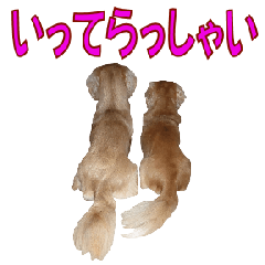 [LINEスタンプ] アポとレーの日常会話(3)