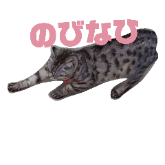 [LINEスタンプ] なひの使いにくいスタンプ