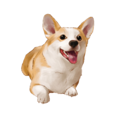 [LINEスタンプ] コーギー！！！