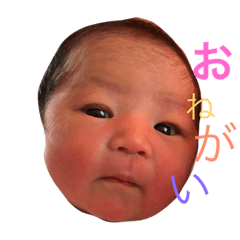 [LINEスタンプ] ありさちゃんスタンプ
