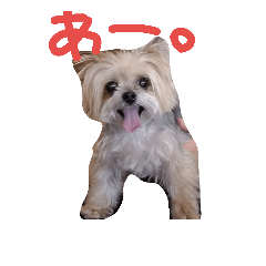 [LINEスタンプ] 小島家のアイドル☆モコ♡