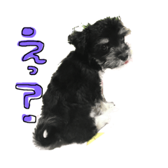 [LINEスタンプ] 日常用です！