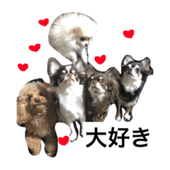 [LINEスタンプ] わんわんずと愉快な仲間