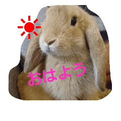 [LINEスタンプ] まるまるみるく