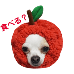 [LINEスタンプ] ぼく。まめまる。