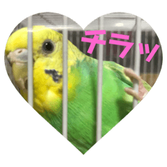 [LINEスタンプ] ぴーちゃんのキュートな日常