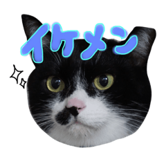 [LINEスタンプ] みくぴこ