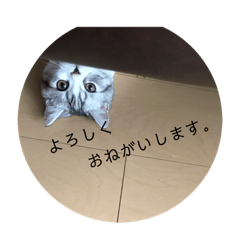 [LINEスタンプ] ふっくん敬語2