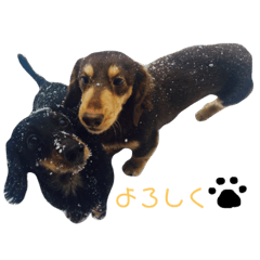 [LINEスタンプ] ごまとだいず
