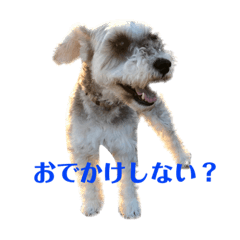 [LINEスタンプ] エースとポンズ②
