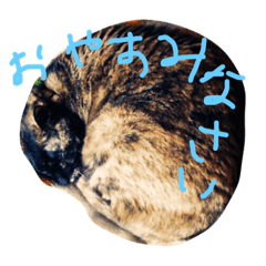 [LINEスタンプ] テトの毎日