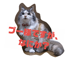 [LINEスタンプ] ブー様