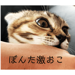 [LINEスタンプ] ボンレス