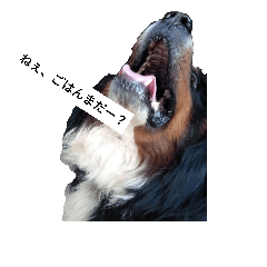 [LINEスタンプ] パトラッシュのパト