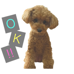 [LINEスタンプ] もかくん。