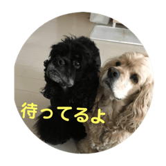 [LINEスタンプ] さくひま日常