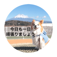 [LINEスタンプ] ロン君からの一言