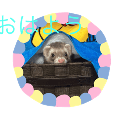 [LINEスタンプ] 村上家のペット