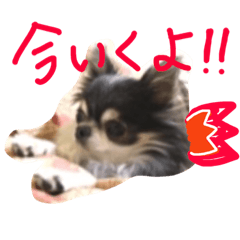 [LINEスタンプ] らぶいアンジェリー