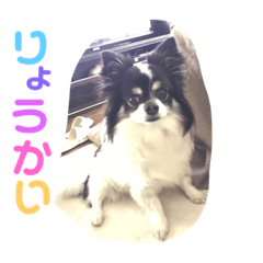 [LINEスタンプ] ビビスタンプ！！