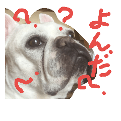 [LINEスタンプ] びびちゃん02