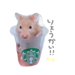 [LINEスタンプ] はむはむずー！！！