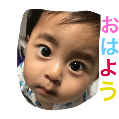 [LINEスタンプ] ゆいとん(T . T)