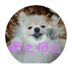 [LINEスタンプ] きなこワールド