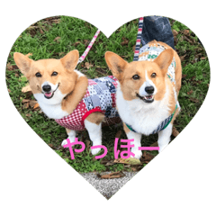 [LINEスタンプ] トムラムスタンプ②