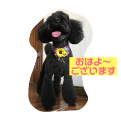 [LINEスタンプ] モフモフのROY   part2