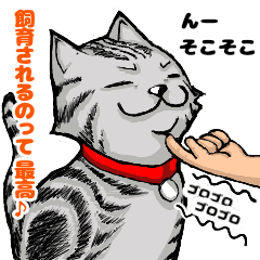 [LINEスタンプ] あめしょー・しどさん