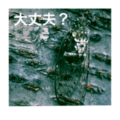 [LINEスタンプ] 虫のキモチ