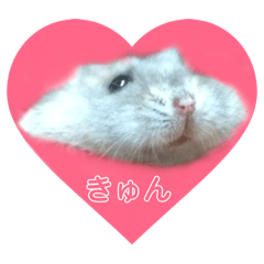 [LINEスタンプ] ハムスターのBelleちゃん