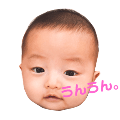 [LINEスタンプ] りょたんの主張