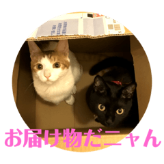 [LINEスタンプ] 猫の気持ちだニャン