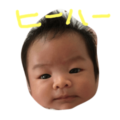 [LINEスタンプ] なぽぽスタンプ