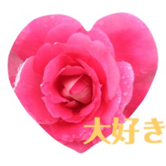 [LINEスタンプ] 花色