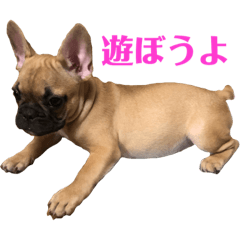 [LINEスタンプ] フレンチブルドッグLOCO no.4