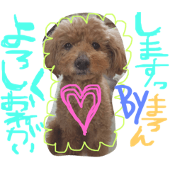 [LINEスタンプ] まろまろまろすけ