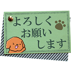 [LINEスタンプ] やさしいトイプードル【メモ書き編】