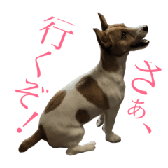 [LINEスタンプ] 毎日ピース3