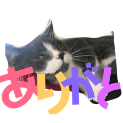 [LINEスタンプ] 仙一さん