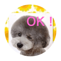 [LINEスタンプ] アクアちゃん