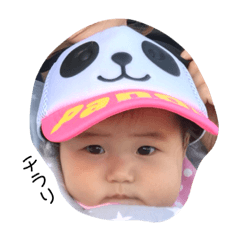 [LINEスタンプ] かんちゃんスタンプです。