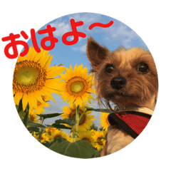 [LINEスタンプ] ほのぼのアクア