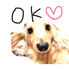 [LINEスタンプ] ゆきの日常6