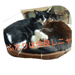 [LINEスタンプ] つぶやきネコ。