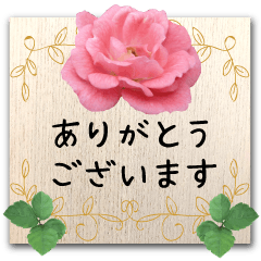 [LINEスタンプ] オトナ可愛い 花と緑のメッセージボード