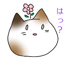 [LINEスタンプ] ねこすた！方言ver. 筑後弁